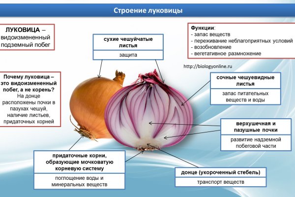 Рабочее зеркало кракен